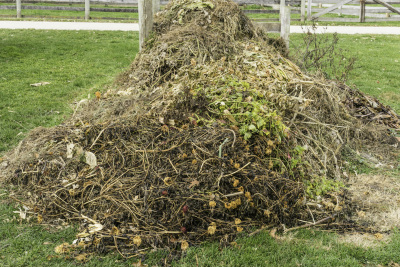 green waste removal disposal gold coast
