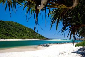 rubbish-removal-tallebudgera